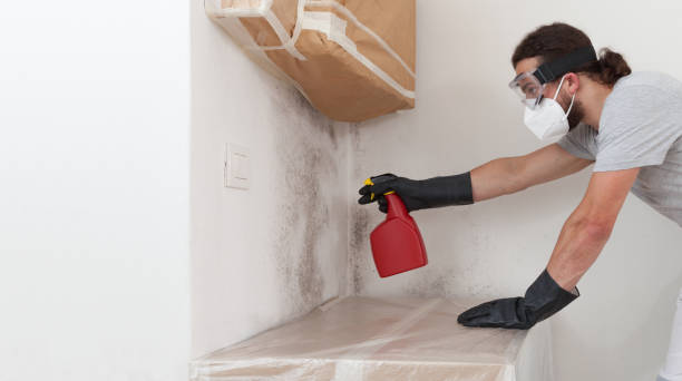 Professional Crawl Space Mold Remediation technician working in Monroe Township, NJ