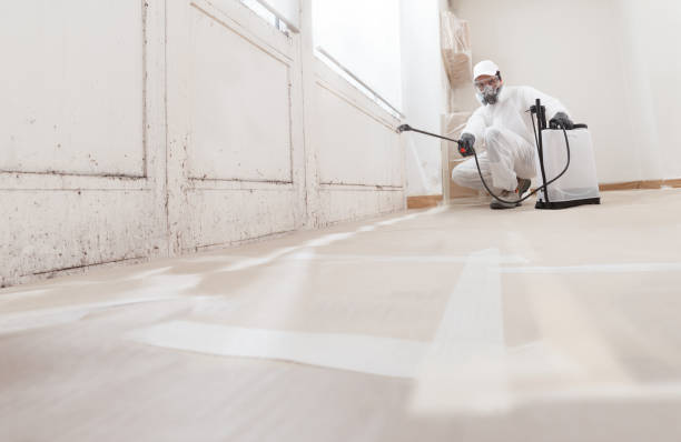 24/7 Emergency Crawl Space Mold Remediation experts in Monroe Township, NJ